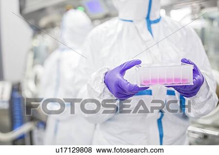 Stock Photo - Close-up of a lab technician carrying a cell-based testing kit in a laboratory that engineers human tissues for implant. Such implants include bone and skin grafts.. Fotosearch