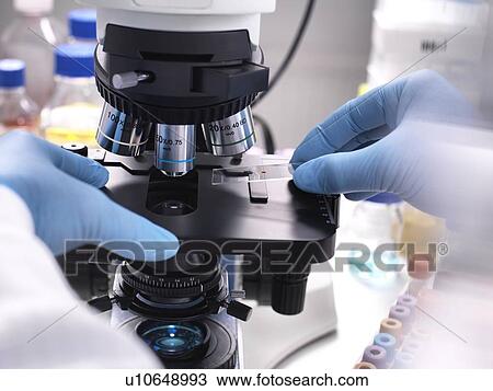 Stock Image - Close-up of a scientist placing a slide containing a human sample under a light microscope for medical testing.. Fotosearch