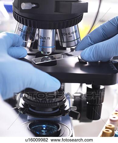 Stock Image - Close-up of a scientist placing a slide containing a human sample under a light microscope for medical testing.. Fotosearch