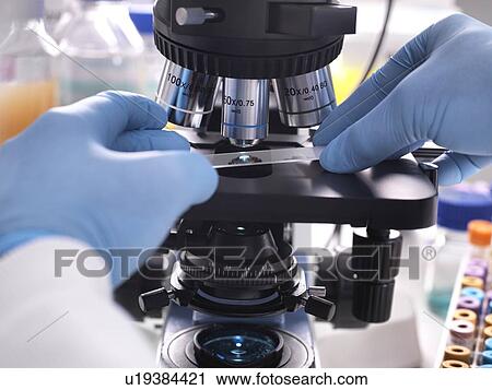 Close-up of a scientist placing a slide containing a human sample under a light microscope for medical testing. View Large Photo Image Stock Image - Close-up of a scientist placing a slide containing a human sample under a light microscope for medical testing.. Fotosearch