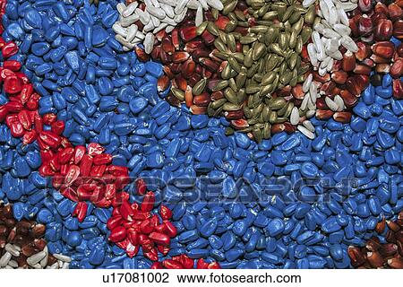 Colourful agricultural seed and grains. View Large Photo Image Stock Image - Colourful agricultural seed and grains.. Fotosearch