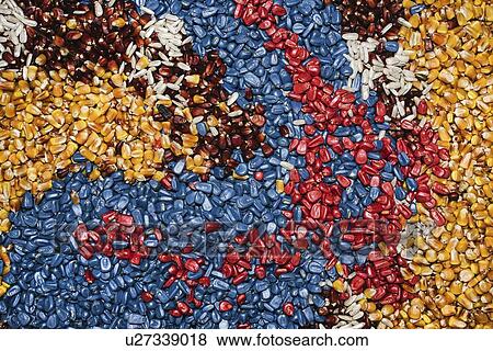 Stock Photo - Colourful corn seed.. Fotosearch