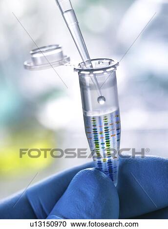 Composite image of DNA (deoxyribonucleic acid) test results on an Eppendorf tube containing a DNA sample. View Large Photo Image Stock Image - Composite image of DNA (deoxyribonucleic acid) test results on an Eppendorf tube containing a DNA sample.. Fotosearch