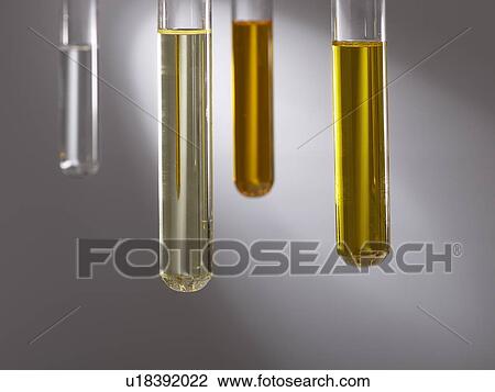 Cooking oils in test tubes, studio shot. View Large Photo Image Stock Image - Cooking oils in test tubes, studio shot.. Fotosearch