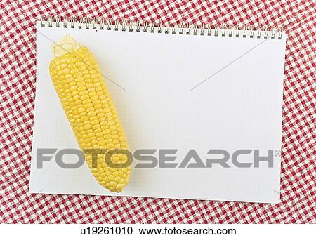 Stock Image - Corn cob on notebook.. Fotosearch
