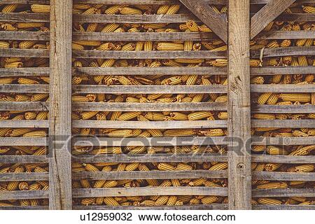 Stock Image - Corn store.. Fotosearch