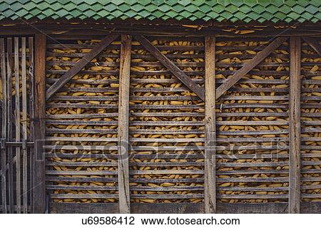 Corn store. View Large Photo Image Stock Image - Corn store.. Fotosearch