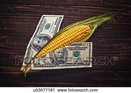 Cost of corn, conceptual image. View Large Photo Image Stock Image - Cost of corn, conceptual image.. Fotosearch