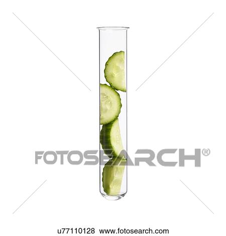 Cucumber in test tube, studio shot. View Large Photo Image Stock Photo - Cucumber in test tube, studio shot.. Fotosearch
