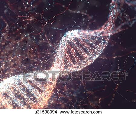 DNA (deoxyribonucleic acid) molecule, illustration. View Large Photo Image Picture - DNA (deoxyribonucleic acid) molecule, illustration.. Fotosearch