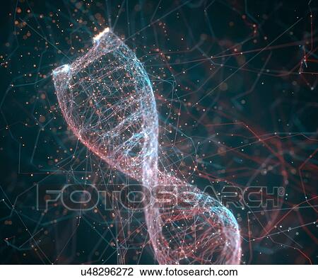 Stock Image - DNA (deoxyribonucleic acid) molecule, illustration.. Fotosearch