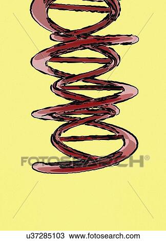 Stock Image - DNA (Deoxyribonucleic acid) strand against yellow background, illustration.. Fotosearch