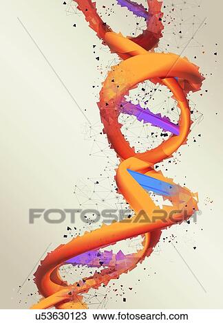 Dna (deoxyribonucleic acid) strand, illustration. View Large Photo Image Stock Image - Dna (deoxyribonucleic acid) strand, illustration.. Fotosearch