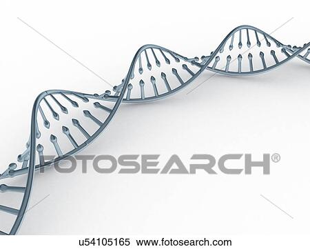 Stock Photography - DNA molecule, computer illustration.. Fotosearch