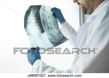 Stock Image - Doctor examining X-ray of the human spine.. Fotosearch
