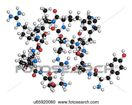 Dynorphin a endogenous opioid peptide molecule. 3D rendering. Atoms are represented as spheres with conventional colour-coding: hydrogen (white), carbon (black), oxygen (red), nitrogen (blue). View Large Photo Image Stock Image - Dynorphin a endogenous opioid peptide molecule. 3D rendering. Atoms are represented as spheres with conventional colour-coding: hydrogen (white), carbon (black), oxygen (red), nitrogen (blue).. Fotosearch