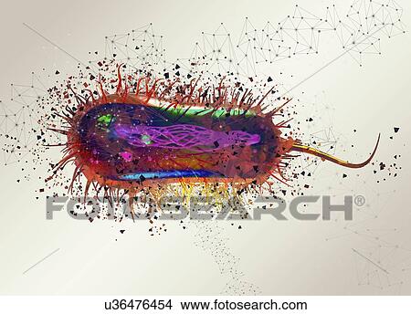 E coli virus, illustration. View Large Photo Image Picture - E coli virus, illustration.. Fotosearch