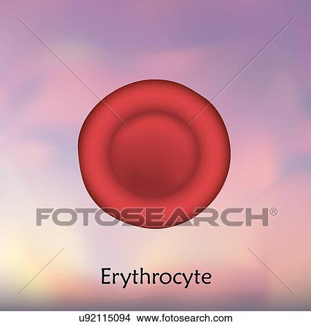 Erythrocyte red blood cell, illustration. View Large Photo Image Picture - Erythrocyte red blood cell, illustration.. Fotosearch
