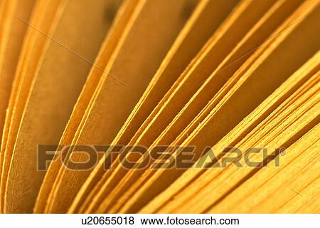 Stock Photo - Fanned pages of a book seen from above.. Fotosearch