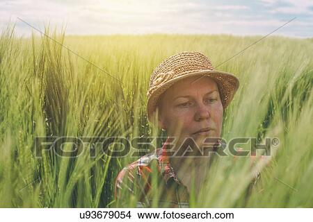 Picture - Farmer examining wheat crop.. Fotosearch