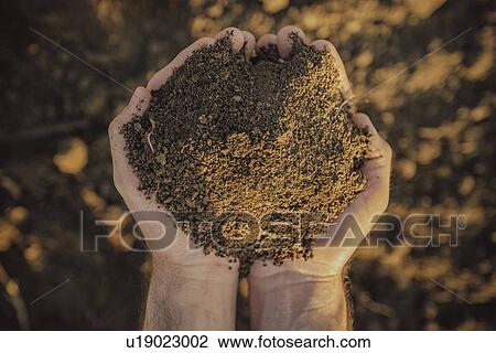 Stock Image - Farmer holding pile of soil.. Fotosearch