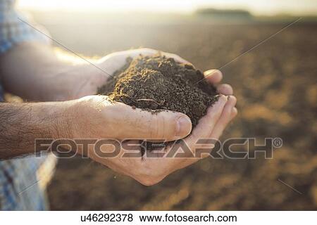 Stock Photo - Farmer holding pile of soil.. Fotosearch