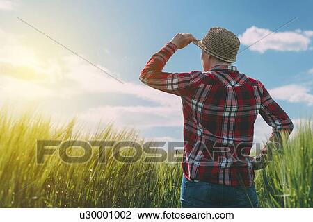 Stock Image - Farmer in wheat field.. Fotosearch