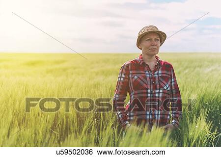 Farmer in wheat field. View Large Photo Image Stock Photograph - Farmer in wheat field.. Fotosearch