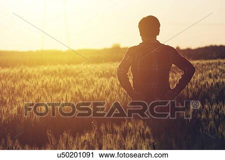 Stock Image - Farmer silhouetted in field.. Fotosearch