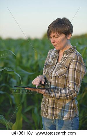 Stock Photo - Farmer using digital tablet in field.. Fotosearch