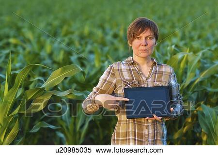 Stock Photography - Farmer using digital tablet in field.. Fotosearch