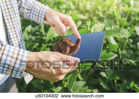 Stock Image - Farmer using digital tablet in soybean field.. Fotosearch