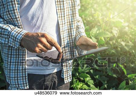 Stock Photo - Farmer using digital tablet in soybean field.. Fotosearch