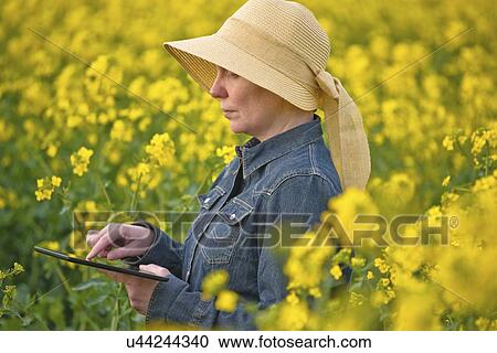 Farmer using digital tablet. View Large Photo Image Stock Image - Farmer using digital tablet.. Fotosearch