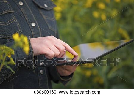 Stock Image - Farmer using digital tablet.. Fotosearch