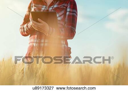 Stock Photo - Farmer using digital tablet.. Fotosearch