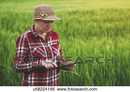 Stock Photograph - Farmer using digital tablet.. Fotosearch
