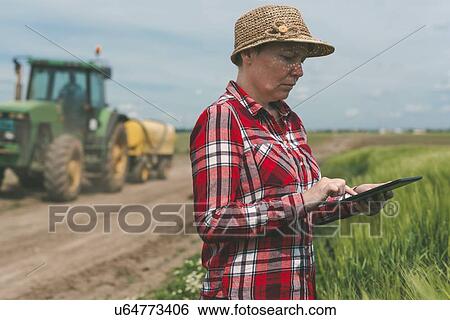 Stock Photograph - Farmer using digital tablet.. Fotosearch