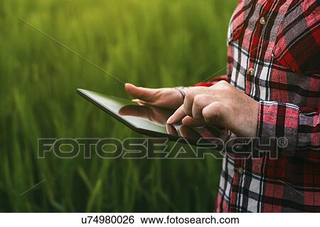 Stock Photograph - Farmer using digital tablet.. Fotosearch