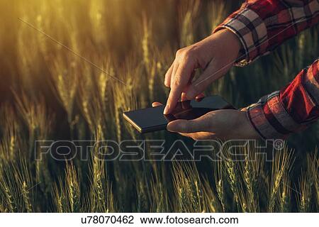 Stock Image - Farmer using smartphone.. Fotosearch