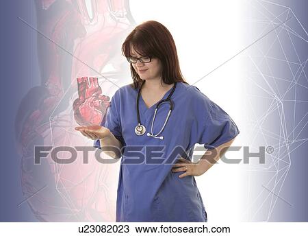 Stock Image - Female doctor holding virtual human heart.. Fotosearch
