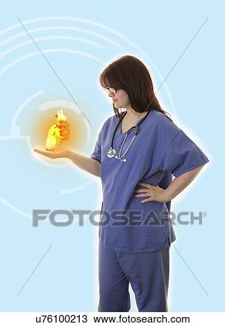 Female doctor holding virtual human heart. View Large Photo Image Stock Image - Female doctor holding virtual human heart.. Fotosearch