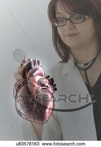 Female doctor holding virtual human heart. View Large Photo Image Stock Image - Female doctor holding virtual human heart.. Fotosearch