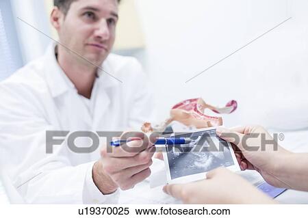 Fertility clinic consultation. Doctor using a model of the female reproductive tract to explain a patient's ultrasound scan. View Large Photo Image Stock Photography - Fertility clinic consultation. Doctor using a model of the female reproductive tract to explain a patient's ultrasound scan.. Fotosearch