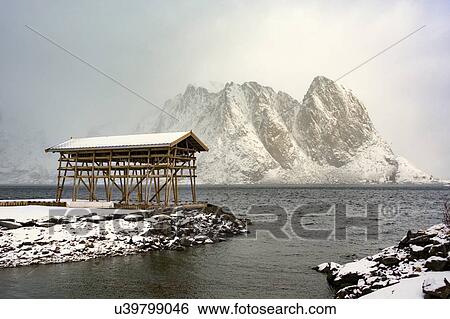 Stock Photograph - Fish drying in hut on Lofoten Islands, Norway.. Fotosearch