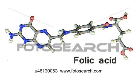 Folic acid (vitamin B9), molecular model. Folic acid is one form of the water-soluble vitamin B9. It is essential to many body functions. Atoms are represented as spheres and are colour-coded: carbon (grey), hydrogen (white), nitrogen (blue) and... View Large Photo Image Stock Image - Folic acid (vitamin B9), molecular model. Folic acid is one form of the water-soluble vitamin B9. It is essential to many body functions. Atoms are represented as spheres and are colour-coded: carbon (grey), hydrogen (white), nitrogen (blue) and.... Fotosearch