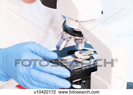Stock Image - Food research, conceptual image.. Fotosearch