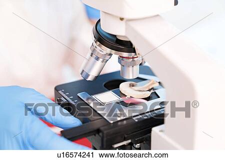 Stock Image - Food research, conceptual image.. Fotosearch