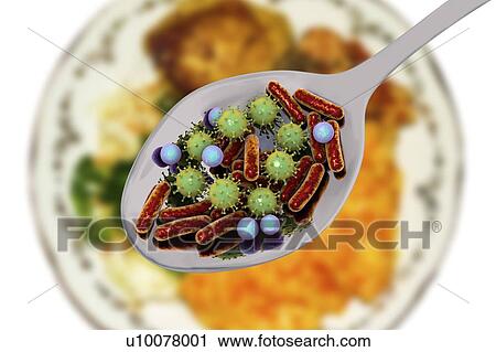 Stock Image - Foodborne infection, conceptual illustration. A foodborne infection is an infectious disease that develops after ingestion of pathogenic microorganisms with food. Many bacteria are causative agents of foodborne infections including Staphylococcus.... Fotosearch