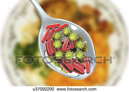 Stock Image - Foodborne infection, conceptual illustration. A foodborne infection is an infectious disease that develops after ingestion of pathogenic microorganisms with food. Many bacteria are causative agents of foodborne infections including Staphylococcus.... Fotosearch